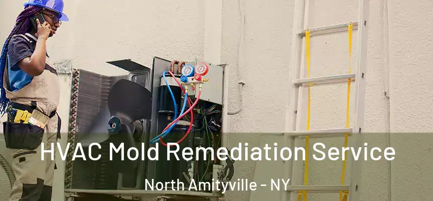  HVAC Mold Remediation Service North Amityville - NY