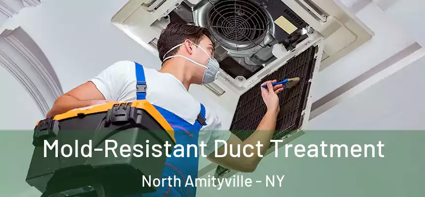 Mold-Resistant Duct Treatment North Amityville - NY
