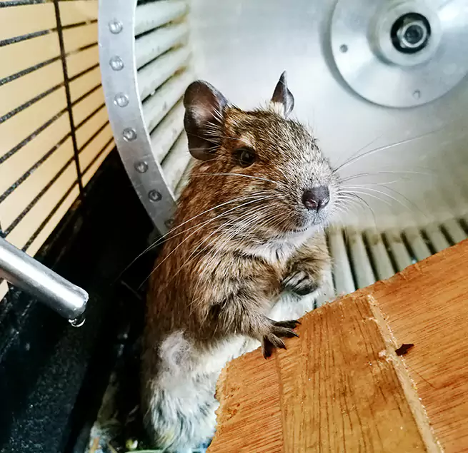 Why Homeowners & Businesses Trust Us North Amityville, NY?